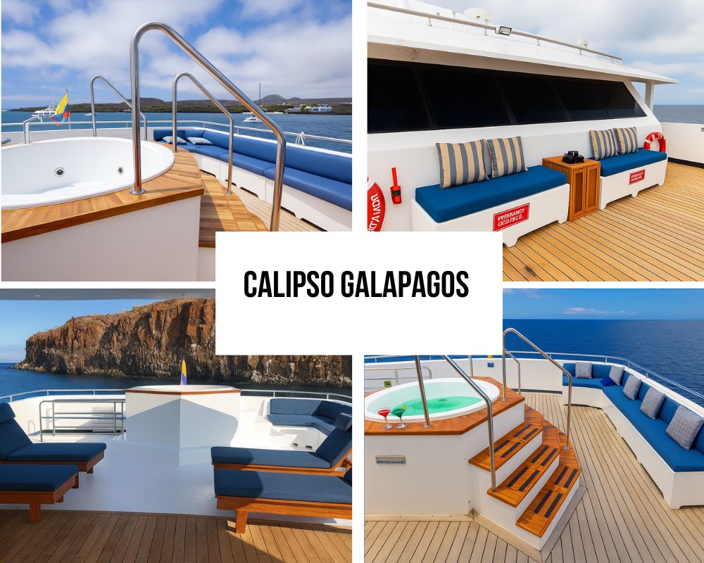 Premium All-Inclusive Package on the Calipso Galapagos Cruise