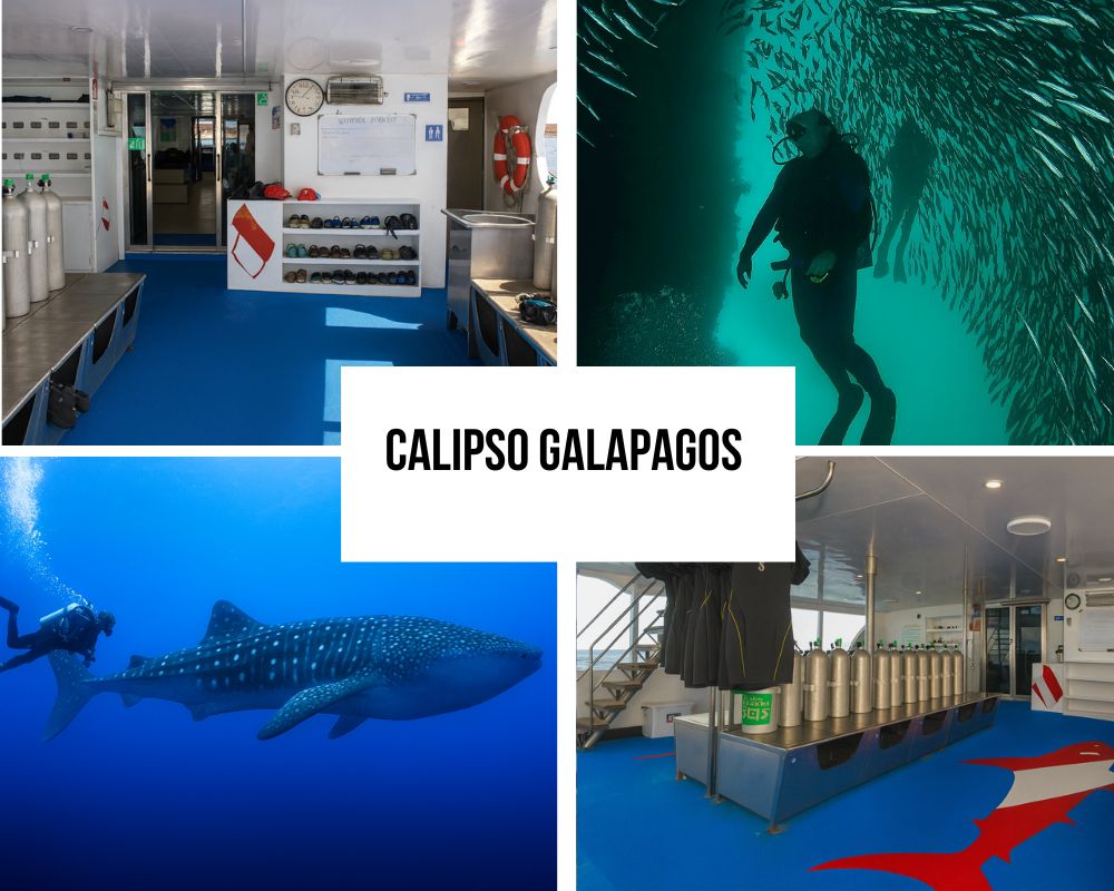 Comprehensive Adventure Options on the Calipso Galapagos Cruise