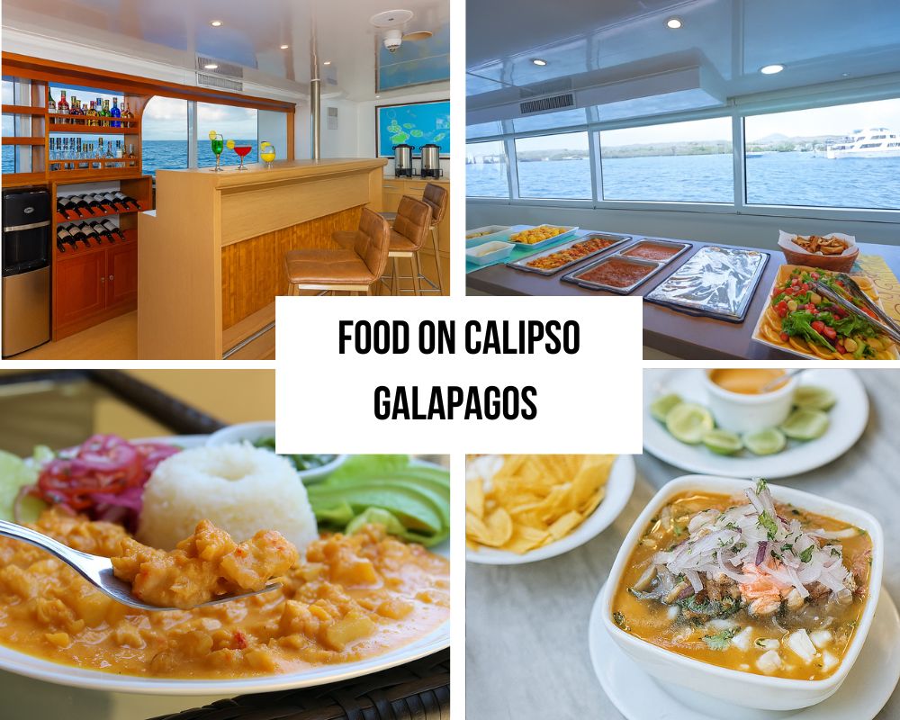 Gourmet Dining Excellence on the Calipso Galapagos Cruise
