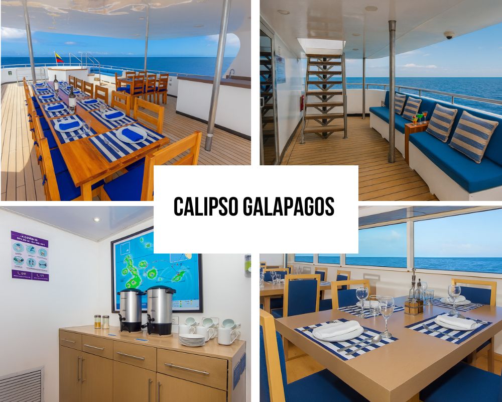 Gourmet Dining Excellence on the Calipso Galapagos Cruise