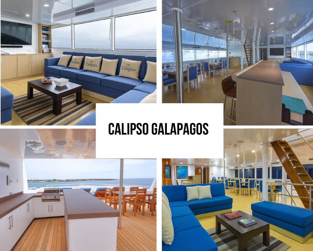 Hotel-Suite Cabin Excellence on the Calipso Galapagos Cruise