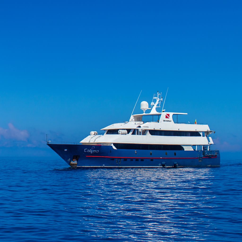 Calipso Galapagos Cruise: Total Reinvention Meets Dual Adventure