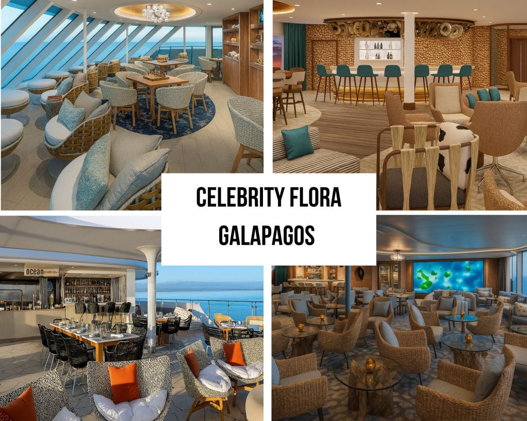Guest Experience Testimonials on the Celebrity Flora Cruise