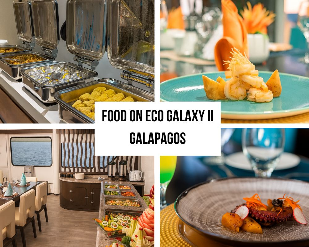 Exceptional Culinary Excellence and Local Community Support on the Eco Galaxy II Galapagos Cruise