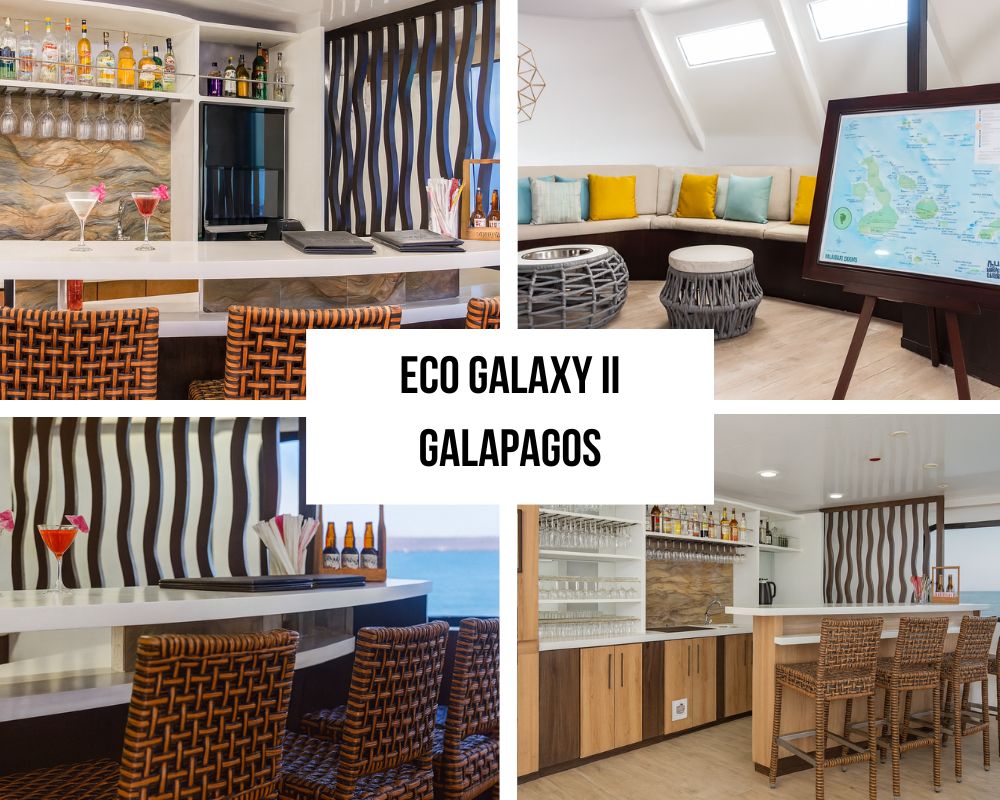 Stunning Communal Spaces and Elegant Comfort on the Eco Galaxy II Galapagos Cruise