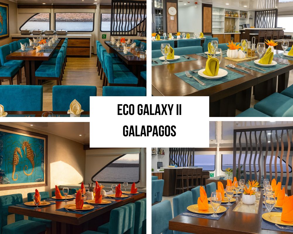 Comprehensive Environmental Technology and Innovation on the Eco Galaxy II Galapagos Cruise