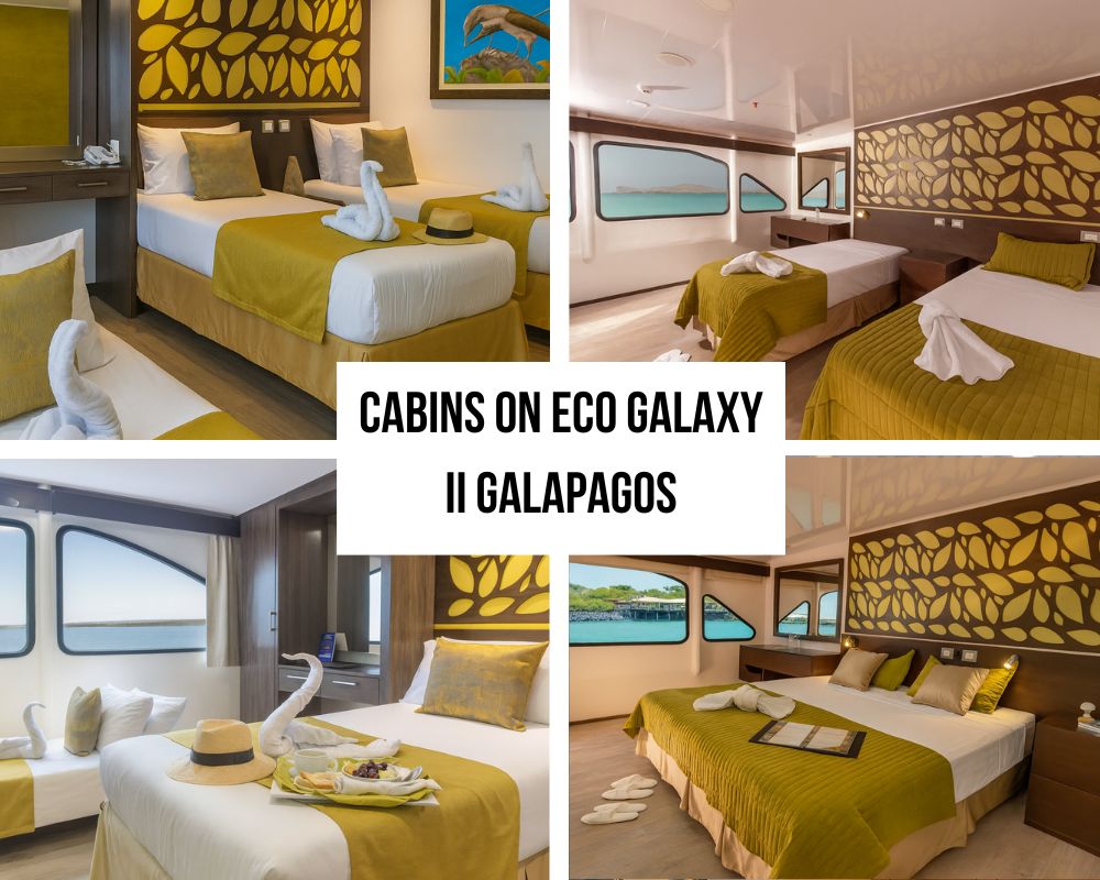 Outstanding Crew Excellence and Conservation Training on the Eco Galaxy II Galapagos Cruise