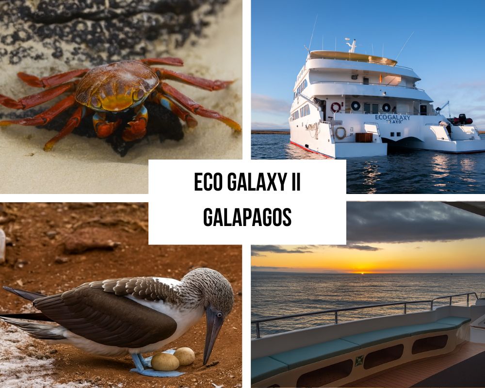Comprehensive Itinerary Portfolio on the Eco Galaxy II Galapagos Cruise