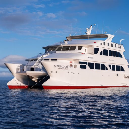 The Eco Galaxy II super-stable, purpose-built catamaran launched in 2015