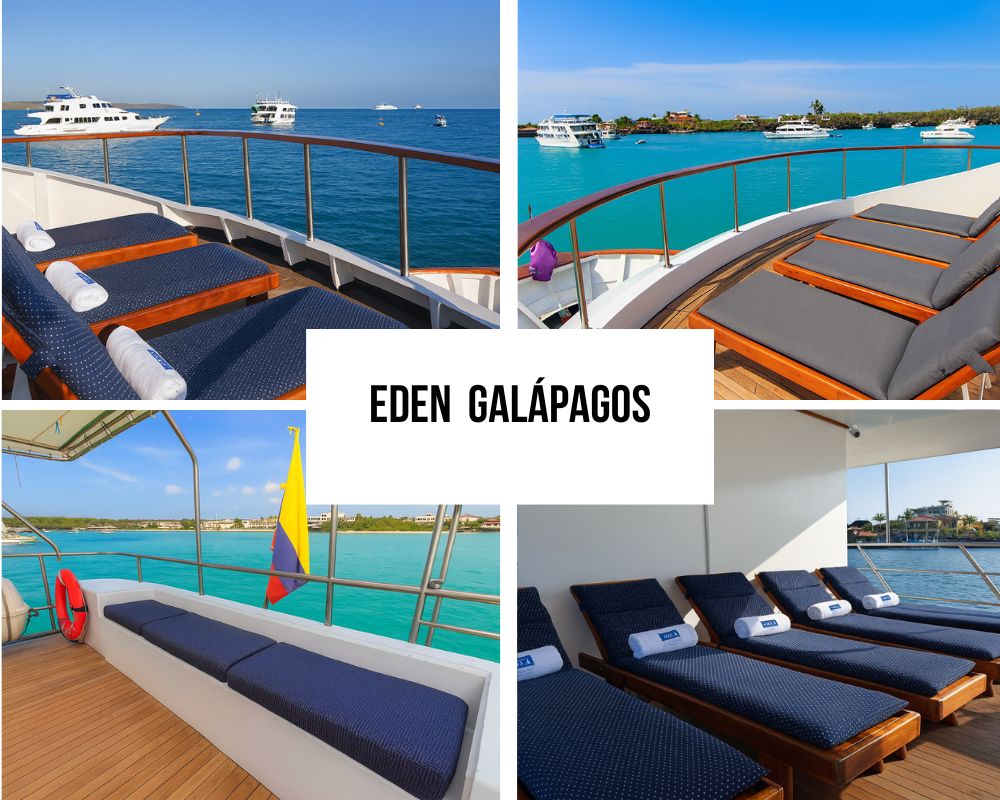 den Galapagos Cruise
