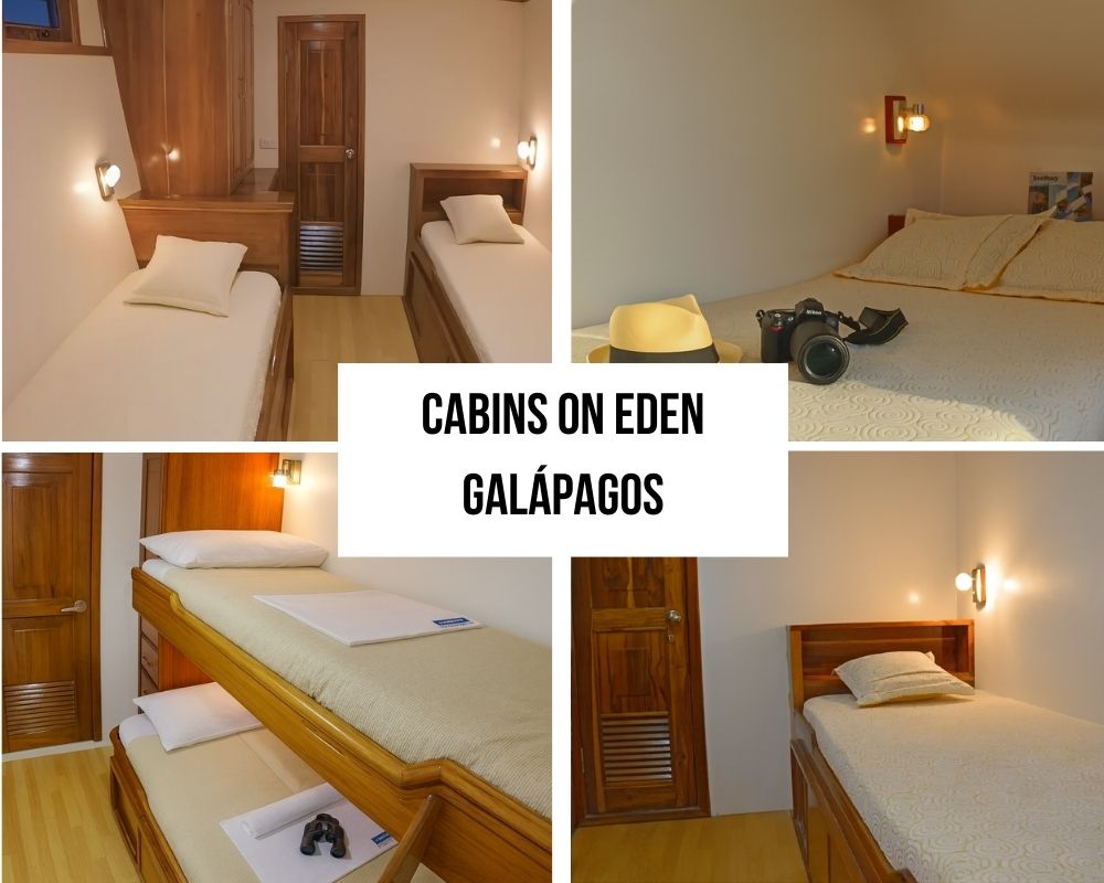 Complimentary Equipment and Value Excellence on the Eden Galapagos Cruise