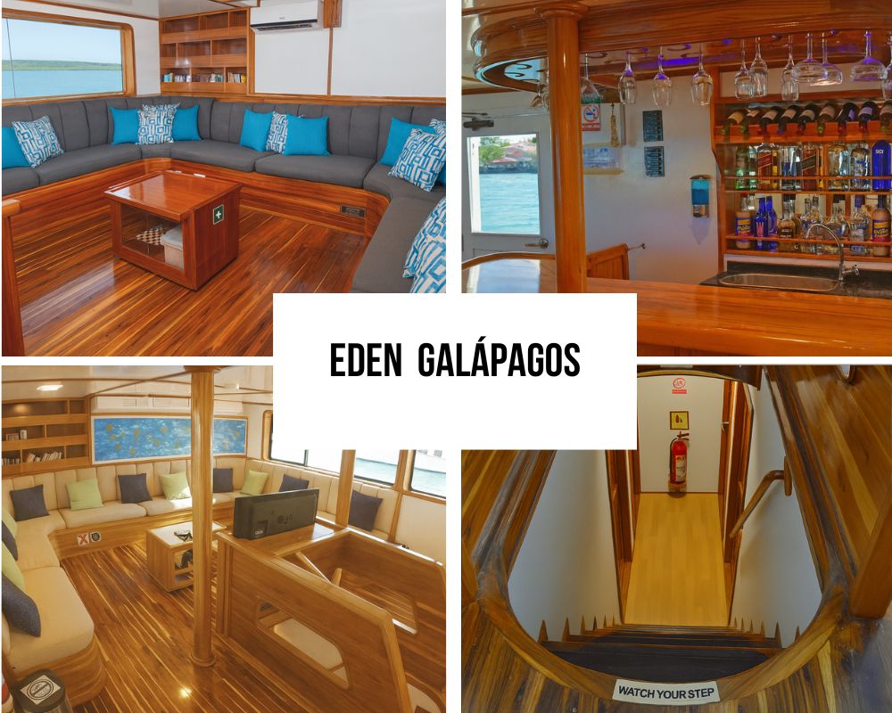 Elegant Interior Design and Social Spaces on the Eden Galapagos Cruise
