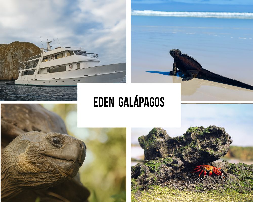 Comprehensive Itinerary Portfolio on the Eden Galapagos Cruise