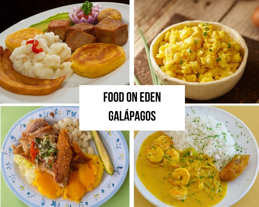 Excellent Culinary Program on the Eden Galapagos Cruise