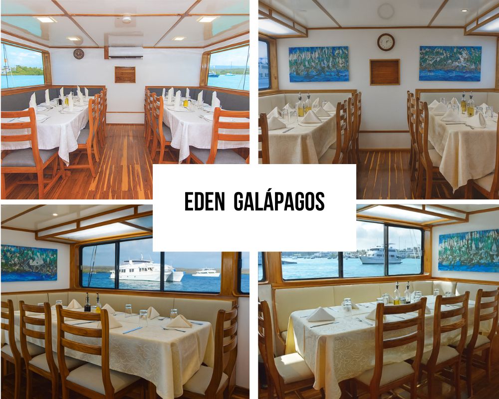 Experienced Crew and Service Standards on the Eden Galapagos Cruise