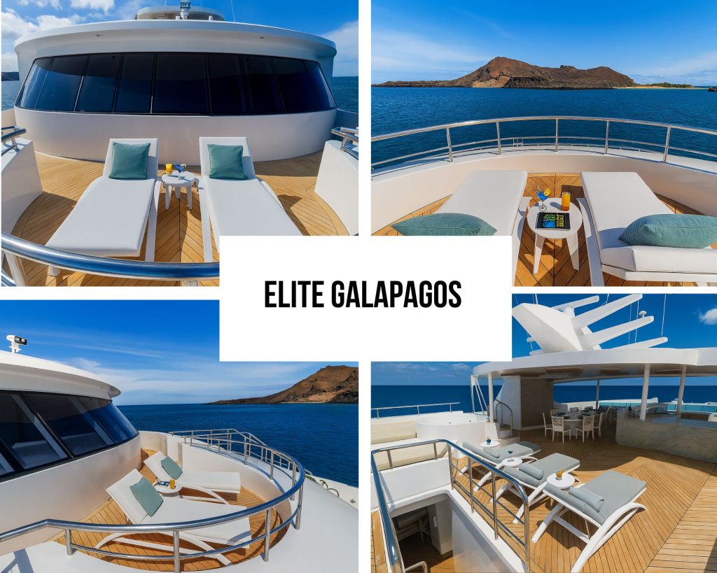 Innovative Multi-Level Social Design on the Elite Galapagos Cruise