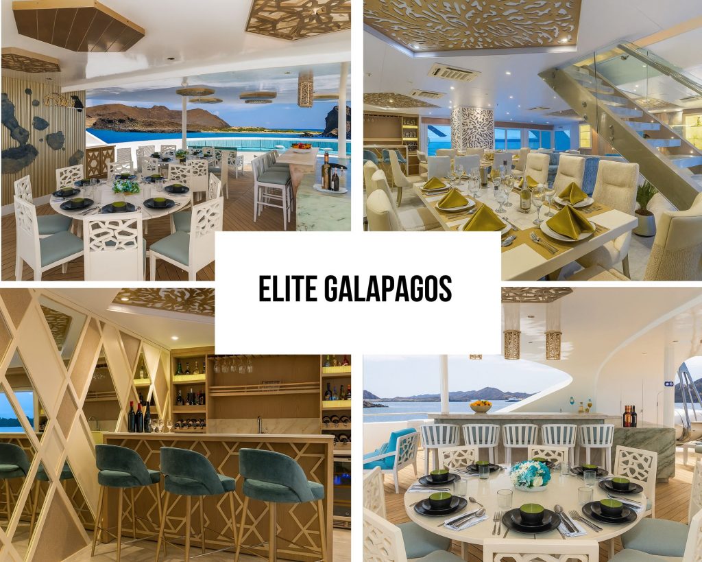 CO2 Neutral Luxury Package on the Elite Galapagos Cruise