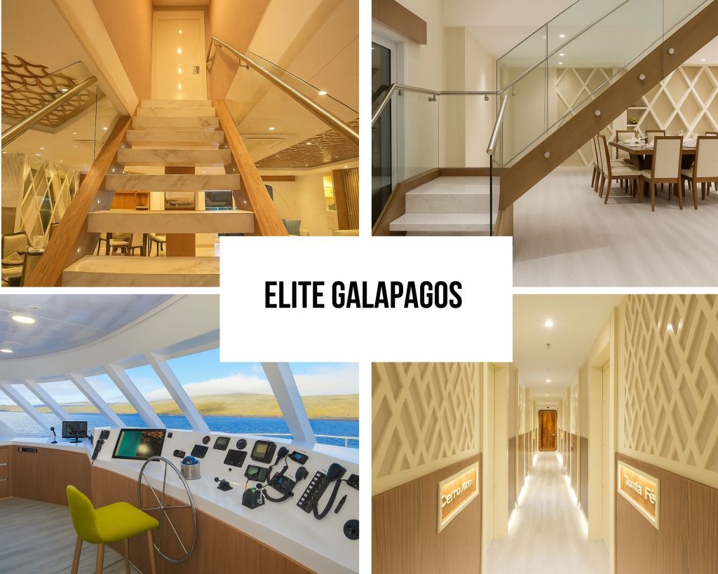 Guest Experience Testimonials on the Elite Galapagos Cruise