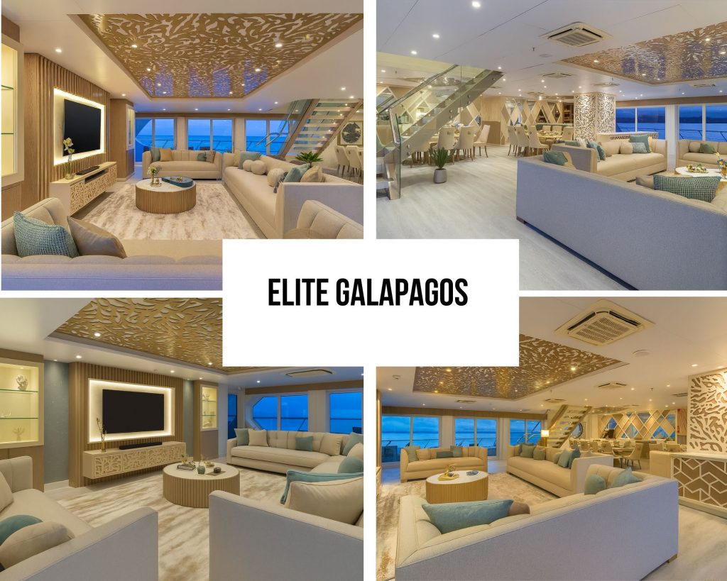 Perfect Match for the Elite Galapagos Cruise
