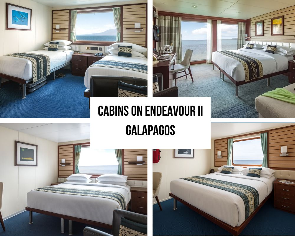 Outstanding Accommodation Flexibility and Family Excellence on the National Geographic Endeavour II