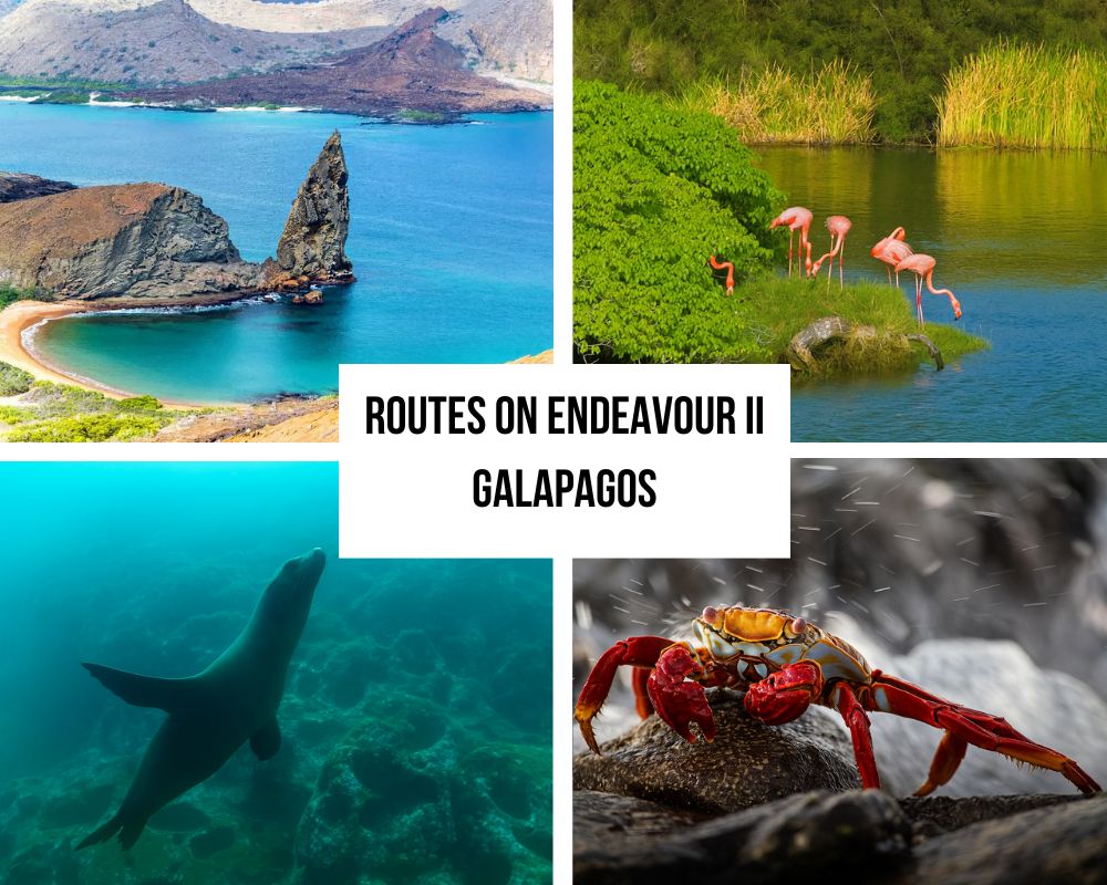 Outstanding Itinerary Excellence and Expedition Leadership on the National Geographic Endeavour II