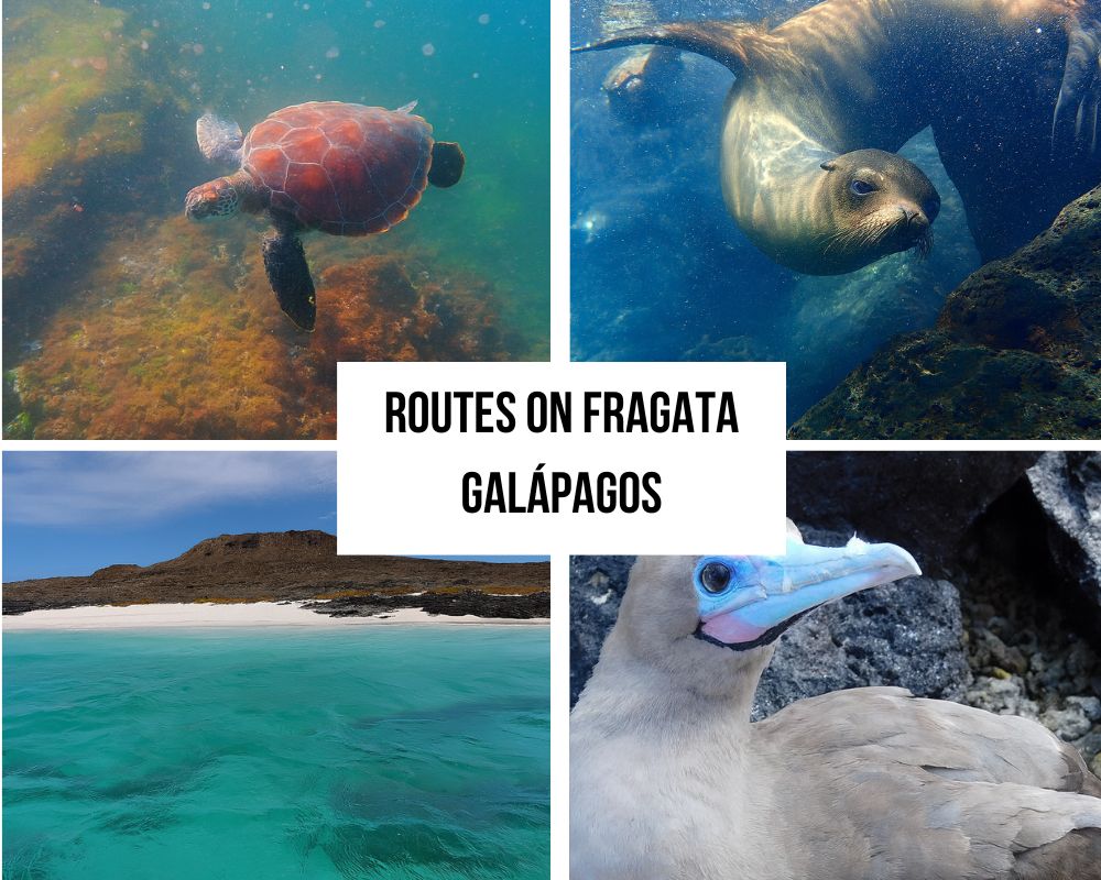 Comprehensive Itinerary Portfolio on the Fragata Galapagos Cruise