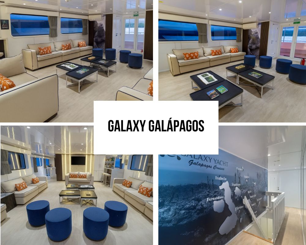 Exceptional Service Standards and Crew Excellence on the Galaxy Galapagos Cruise