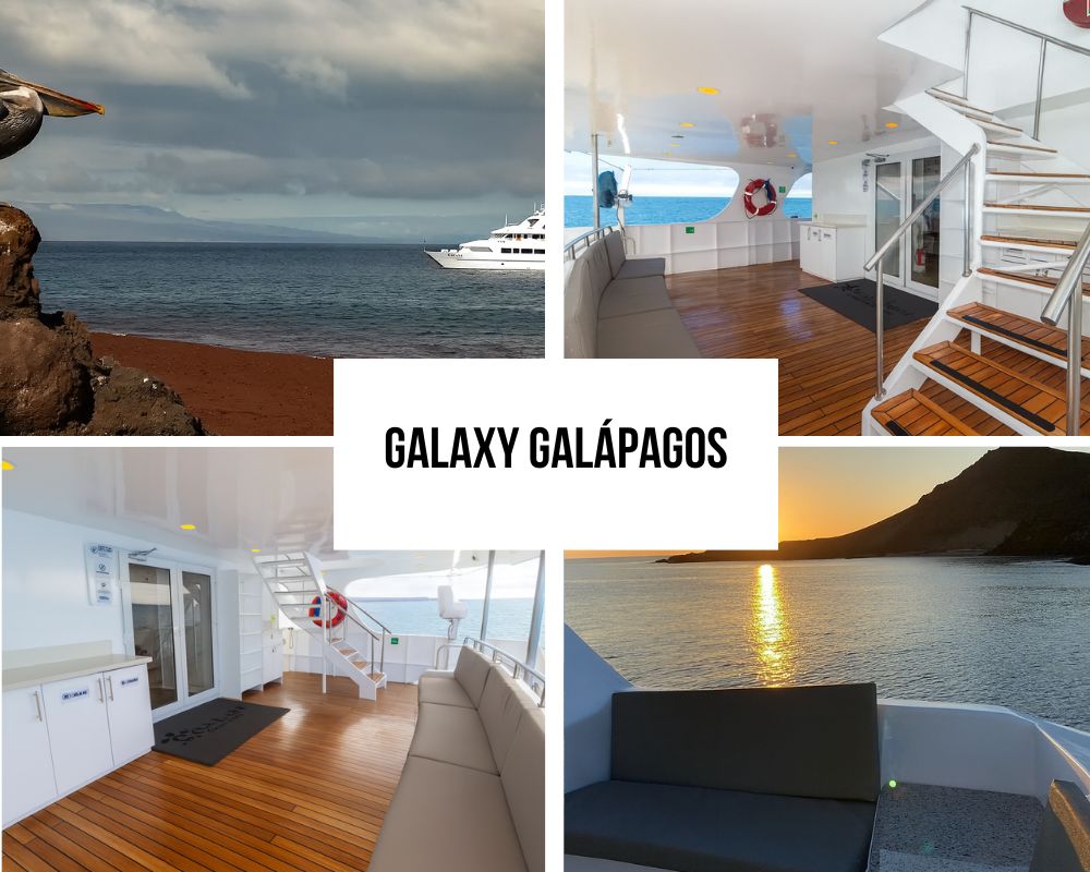 the Galaxy Galapagos Cruise