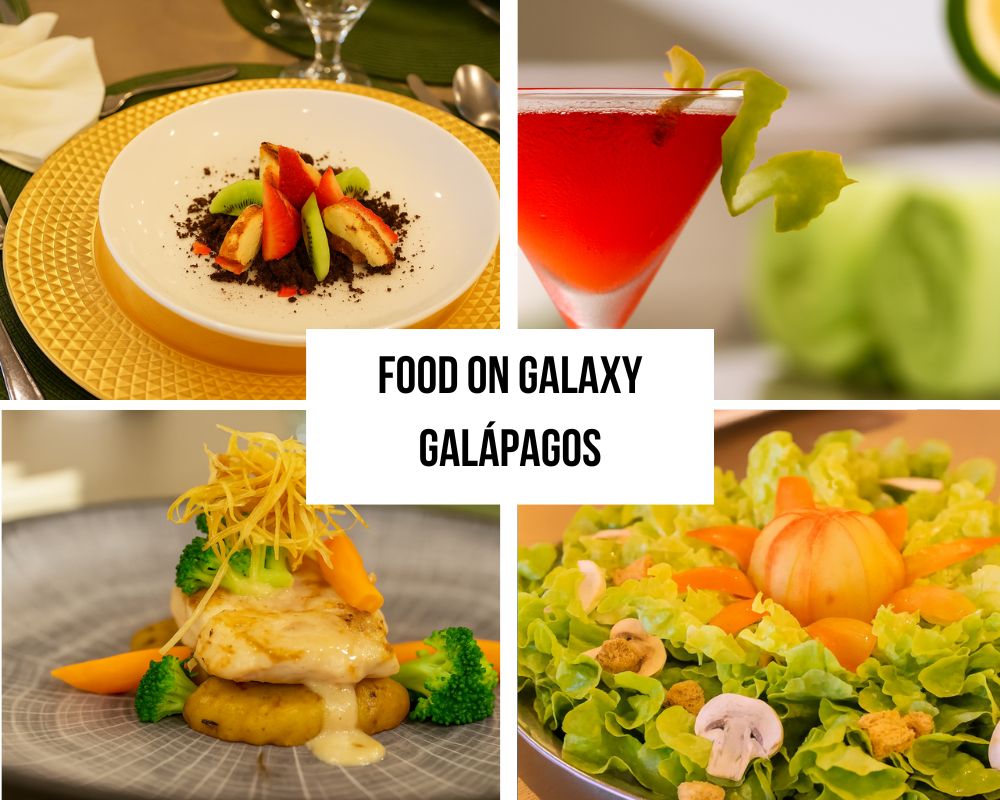 Outstanding Culinary Excellence and Dining Experience on the Galaxy Galapagos Cruise