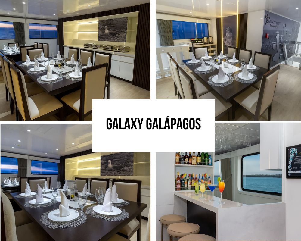 Galaxy Galapagos Cruise