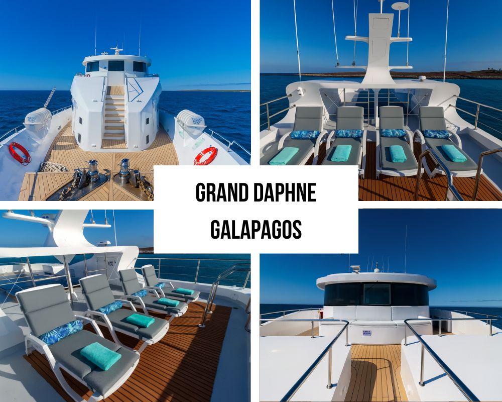 Exceptional Social Spaces and Dining Excellence on the Grand Daphne Galapagos Cruise