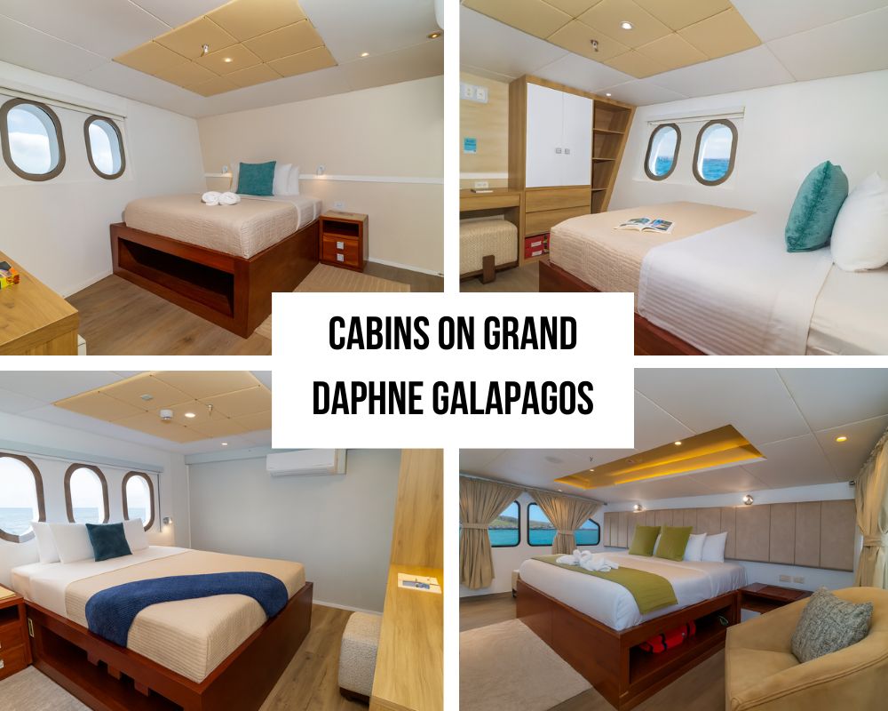Outstanding Outdoor Spaces and Privacy Options on the Grand Daphne Galapagos Cruise