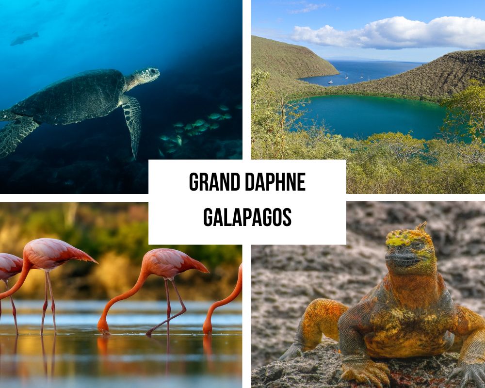 Comprehensive Itinerary Portfolio on the Grand Daphne Galapagos Cruise