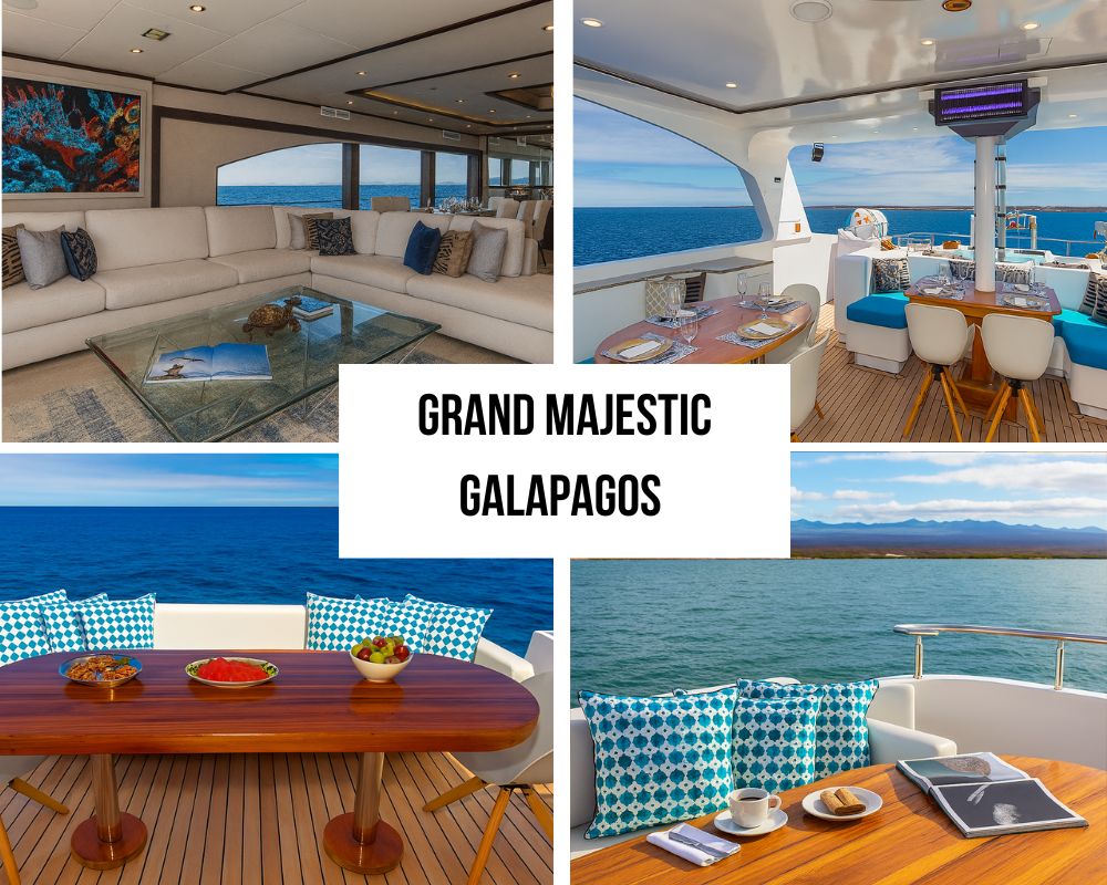 Spectacular Master Suite Excellence on the Grand Majestic Galapagos Cruise