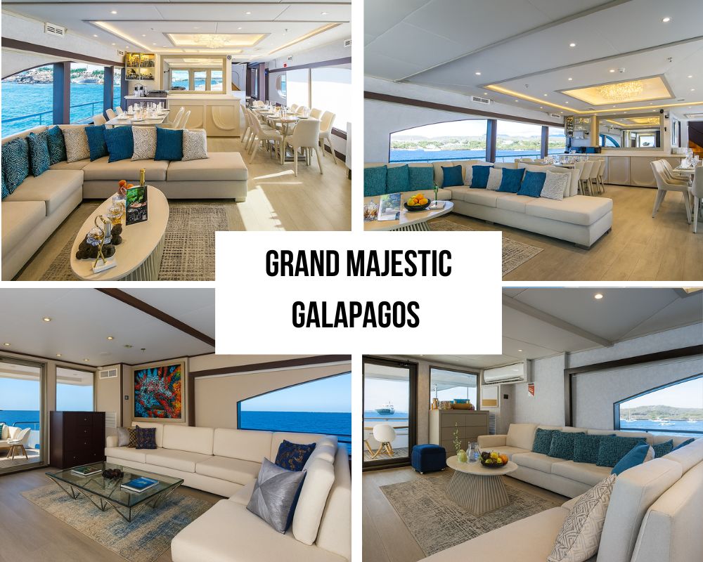 Perfect Match for the Grand Majestic Galapagos Cruise