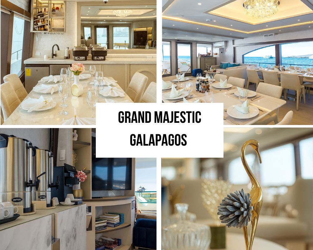 Spectacular Master Suite Excellence on the Grand Majestic Galapagos Cruise