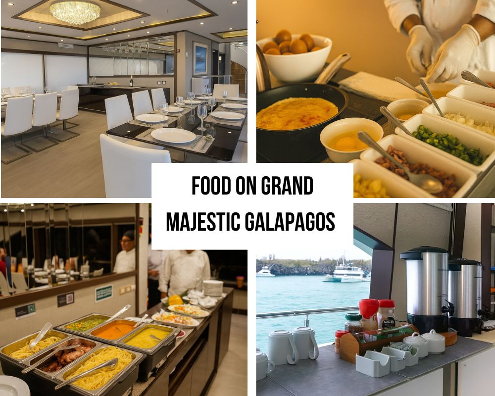 Exceptional Speed Advantage and Service on the Grand Majestic Galapagos Cruise