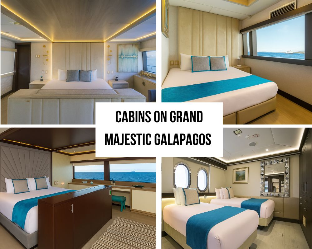 Luxury Accommodations and Amenities on the Grand Majestic Galapagos Cruise