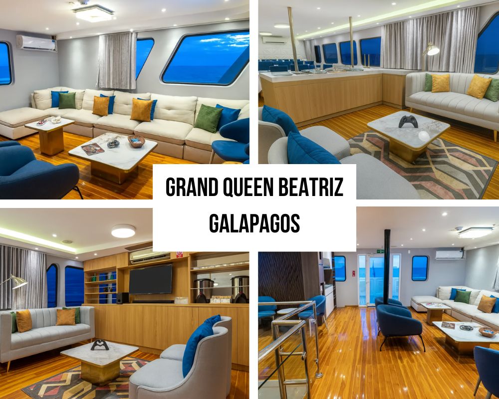 Outstanding Space and Modern Design Excellence on the Grand Queen Beatriz Galapagos Cruise