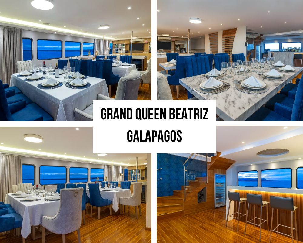 Modern Technology and Safety Excellence on the Grand Queen Beatriz Galapagos Cruise