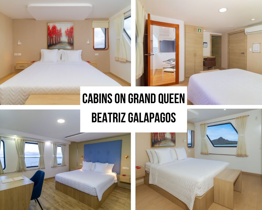 Outstanding Space and Modern Design Excellence on the Grand Queen Beatriz Galapagos Cruise