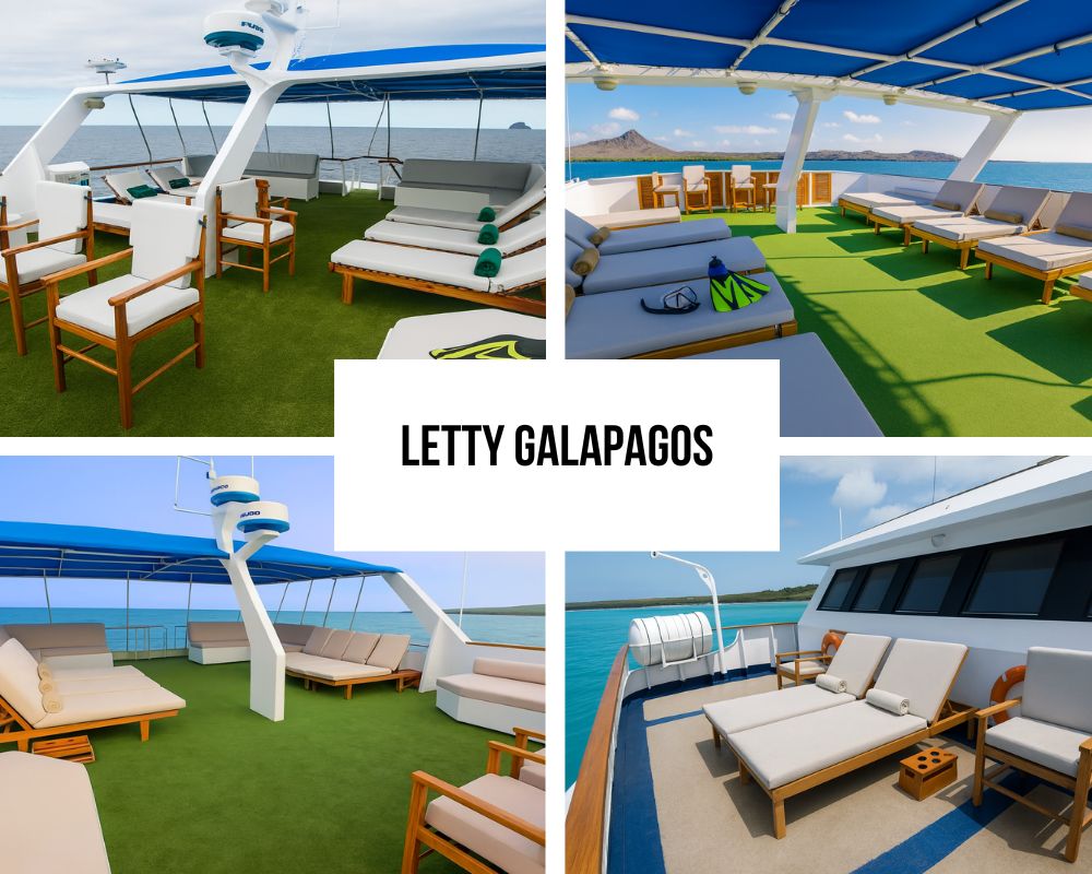 Outstanding Deck Configuration and 360° Views on the Letty Galapagos Cruise