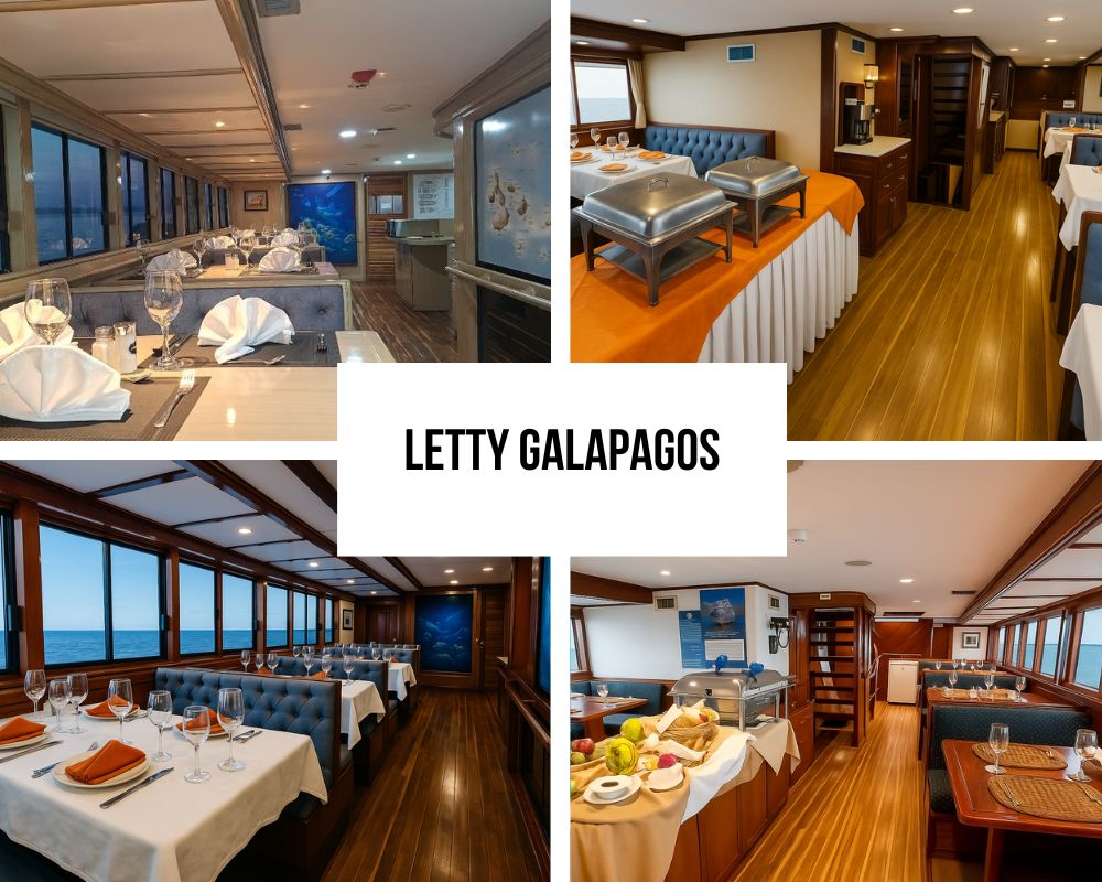 Outstanding Value Recognition and Guest Experience on the Letty Galapagos Cruise
