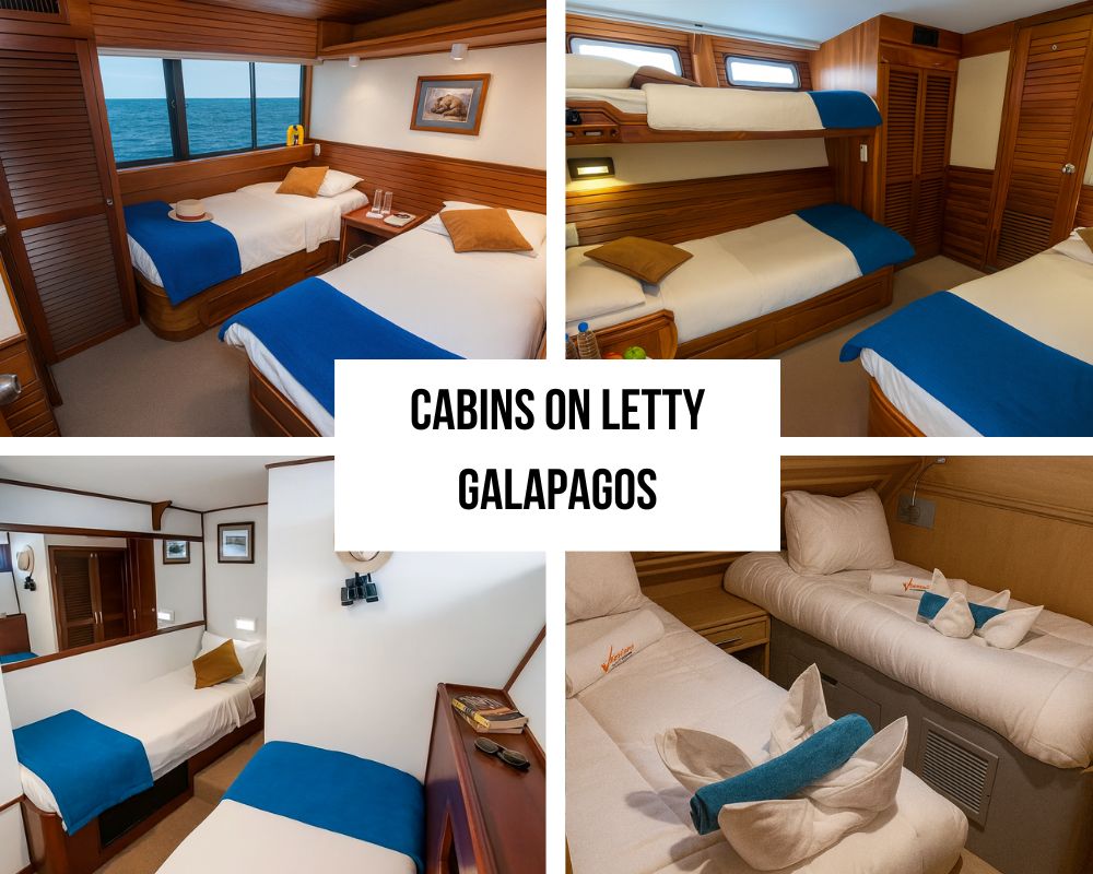 Dedicated Crew Excellence and Personalized Service on the Letty Galapagos Cruise