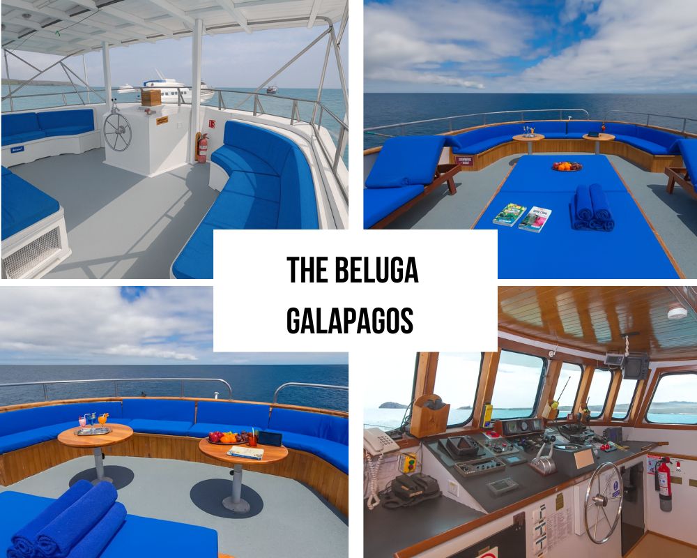 Ideal Travelers for the Beluga Galapagos Cruise