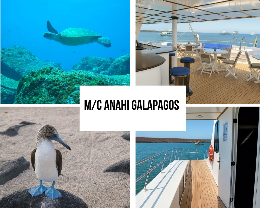 Comprehensive Itinerary Portfolio on the Anahi Galapagos Cruise