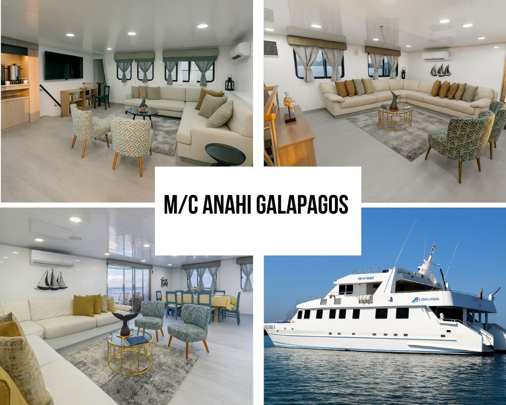 Premium Inclusions on the Anahi Galapagos Cruise