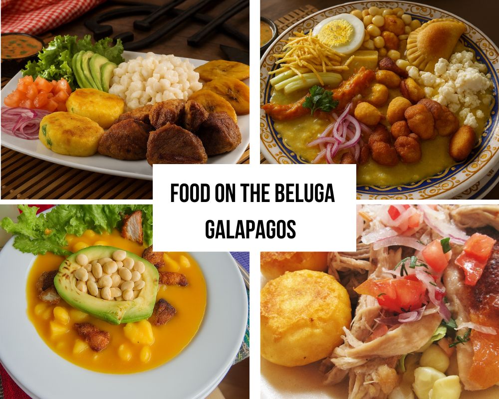 Gourmet Dining Excellence on the Beluga Galapagos Cruise