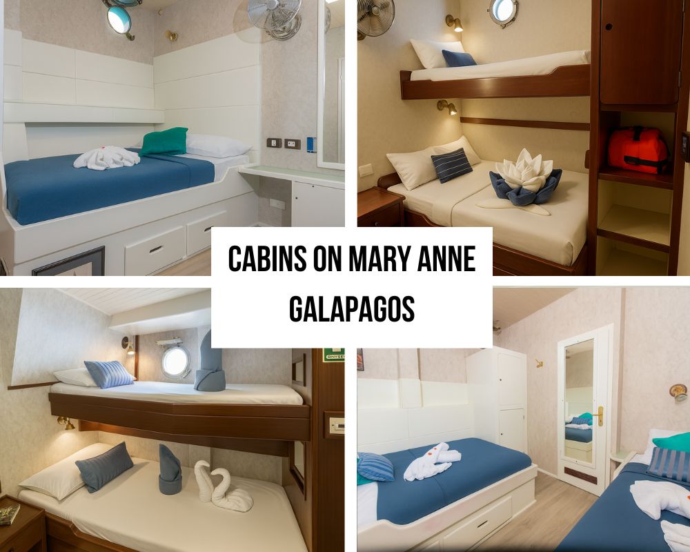 Beautiful Cabin Design and Motion Comfort on the Mary Anne Galapagos Cruise