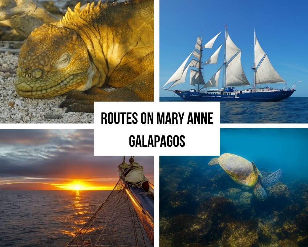 Comprehensive Sailing Itinerary Portfolio on the Mary Anne Galapagos Cruise